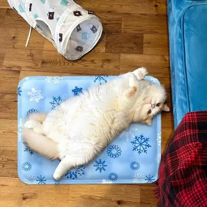 Tapis rafraîchissant pour animaux de compagnie