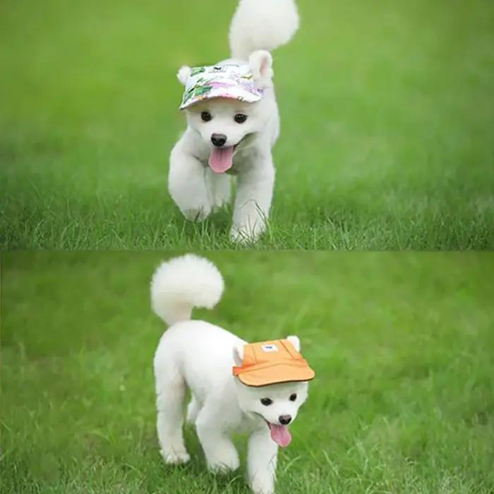 Casquette de Baseball pour animaux de compagnie