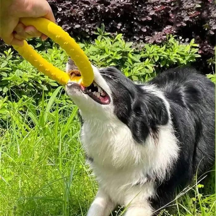 Jouets d'anneau pour chien