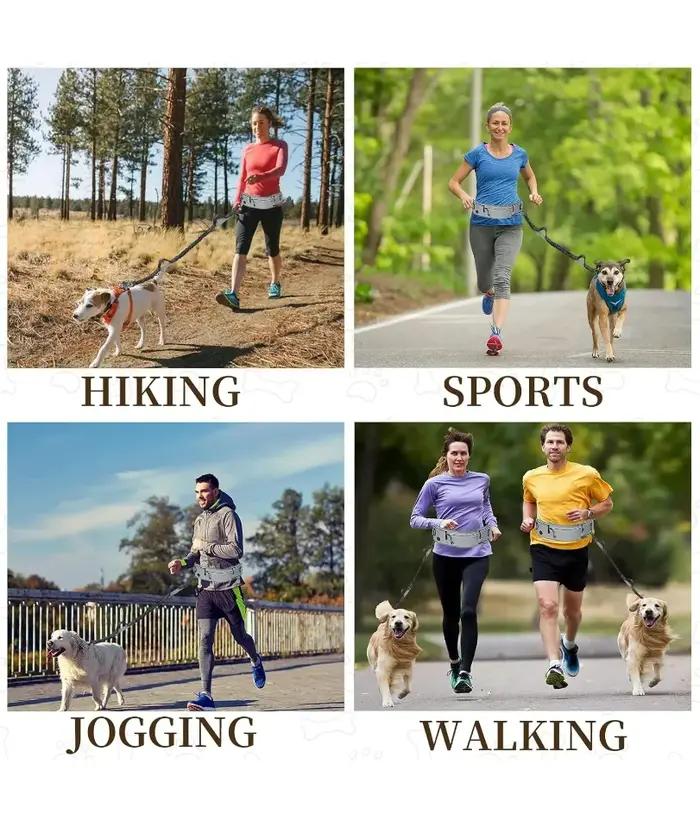 Laisse mains libres pour chiens avec fermeture éclair et poches réfléchissantes pour promenades et randonnées en forêt