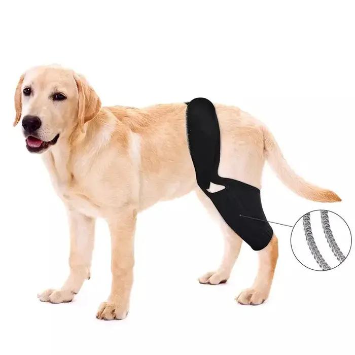 Attelle de Soutien Ajustable pour Hanches et Jambes de Chien avec Support en Acier et Bande en Caoutchouc Chloroprène