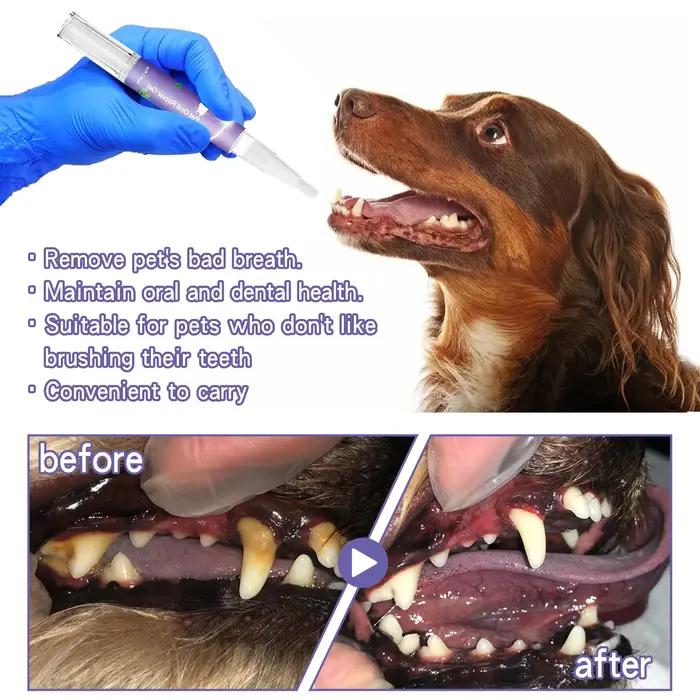 Gel dentaire pour animaux de compagnie, stylo de soins bucco-dentaires, combat la mauvaise haleine, contrôle du tartre, apaise les gencives, solution naturelle pour chiens et chats