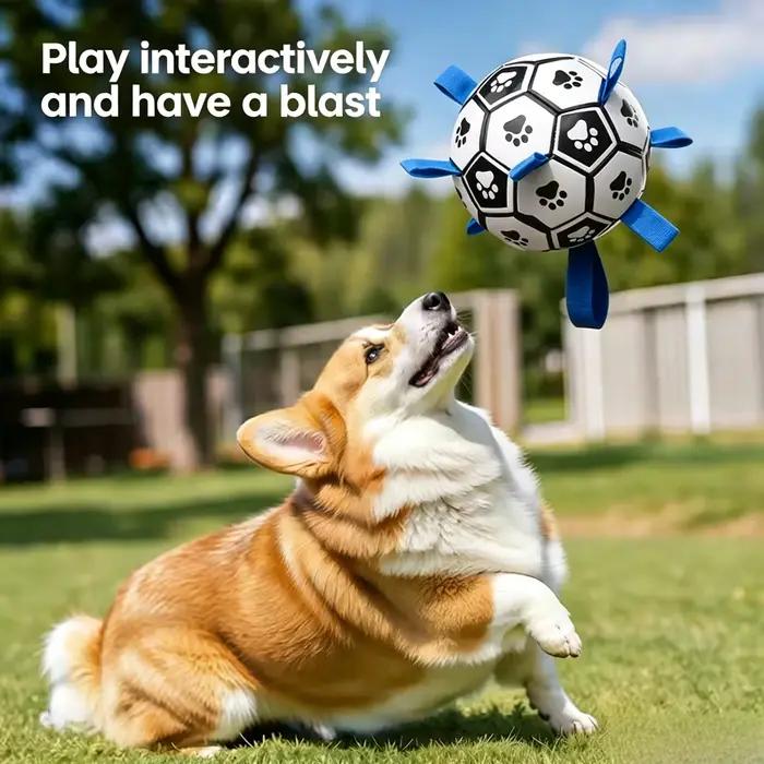 Ballon de football pour chien cuir flottant avec languettes interactives pour mâchage et jeu en plein air et en eau occasions spéciales chiens agressifs mordants