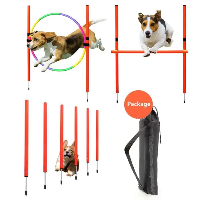 Équipement d'entraînement à l'agilité pour chien