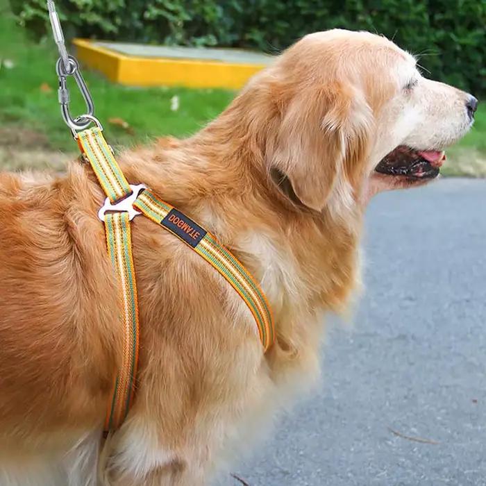Laisse de câble d'arrimage pour chien à Double tête