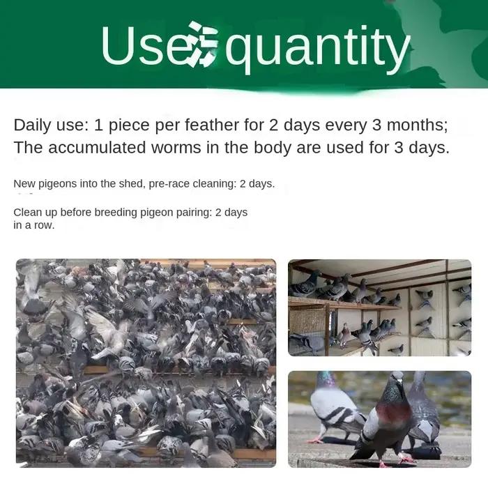 Comprimés Deworming Pigeon pour chiens 120 comprimés éliminer parasites colombier course nettoyage avant appariement nouveau pigeon
