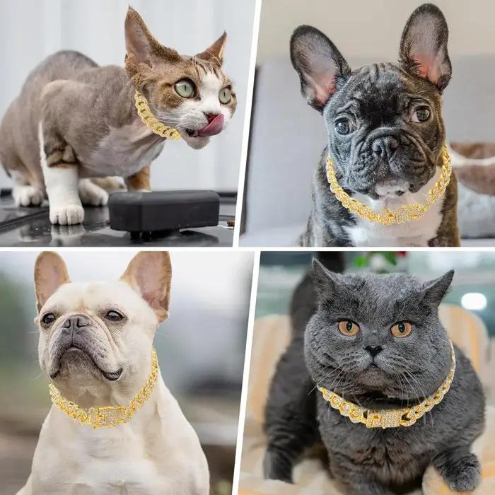 Collier pour chien en or avec chaîne et diamants