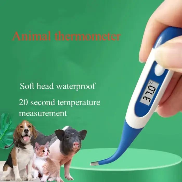 Thermomètre électronique professionnel étanche pour animaux de compagnie thermométrie rectale rapide cadeau de noël halloween soins vétérinaires flexibilité matériaux acrylique silicone