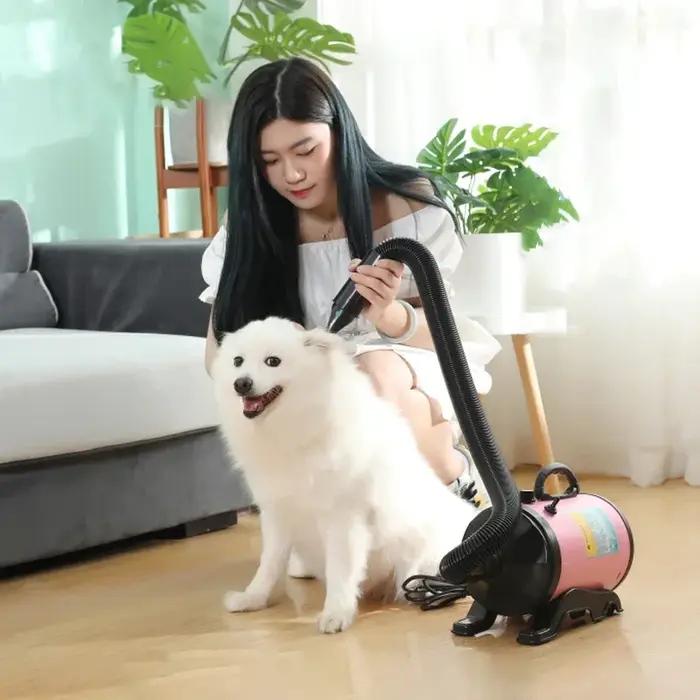 Sèche-cheveux haute puissance 2800W pour chiens et chats