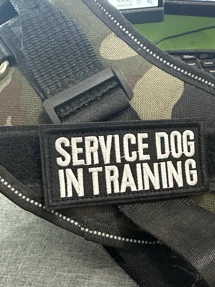 Les patchs de sécurité pour chiens thérapeutiques gardent votre service pour animaux de compagnie