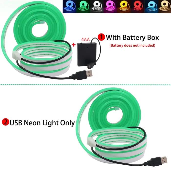 Bande lumineuse LED néon USB, 5V, 120 diodes/m, SMD 2835, étanche, Flexible, avec boîtier de batteri