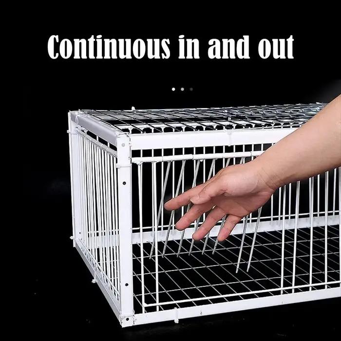 Piège automatique Cage à oiseaux