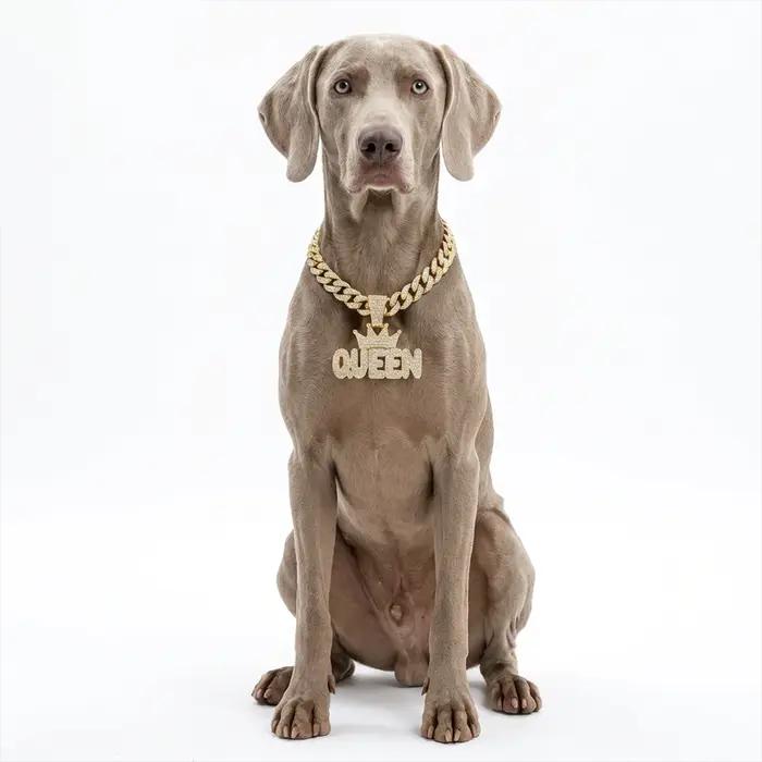 Collier cubain en alliage d'aluminium pour chiens et chats de petite à grande taille bijou pendentif Roi Reine paré de diamants occasions spéciales