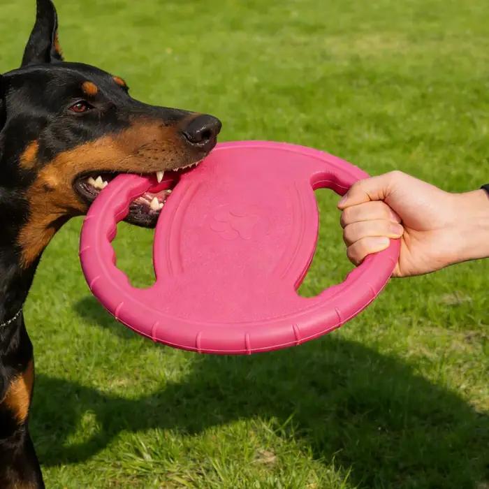 Jouet pour chien Eva Flying Disc