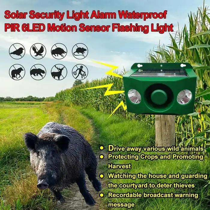 Répulsif solaire pour chiens