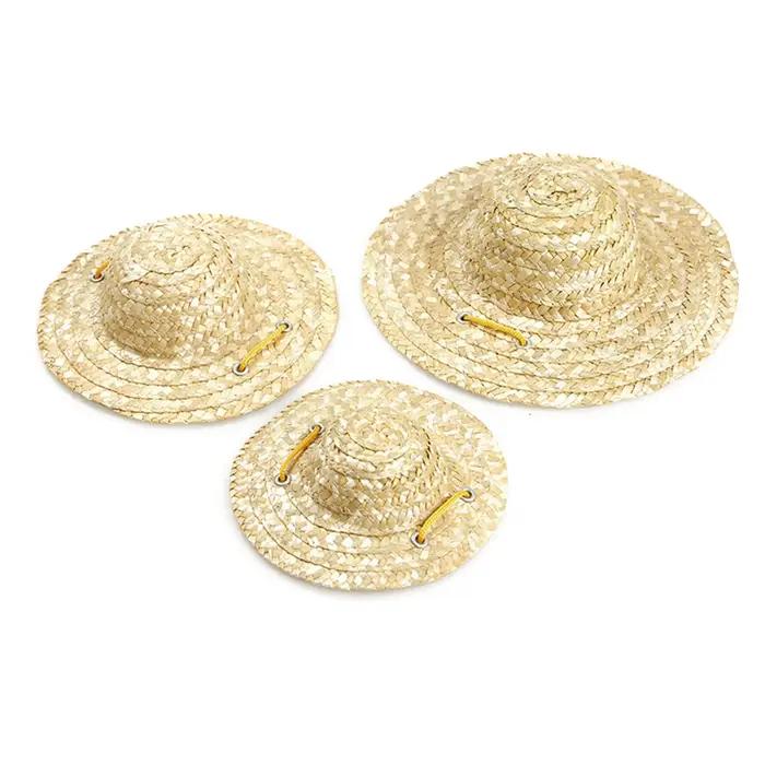 Chapeau de paille tressé tendance pour animaux de compagnie