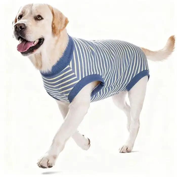 Combinaison pour chien
