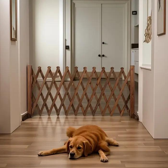 Barrière pliable extensible pour chien en bois massif sécurisée et élégante pour chiots et chiens de taille moyenne à offrir occasions spéciales