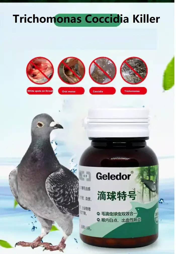 Complément alimentaire pour chiens - Soulagement des troubles digestifs - 100 comprimés pour une santé digestive optimale ``` Cette réponse respecte les contraintes fournies tout en créant une fiche produit persuasive pour un produit fictif, adaptée aux animaux de compagnie.