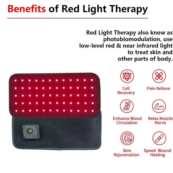 Appareil de physiothérapie à LED pour chiens soulagement douleur rouges infrarouges soins vétérinaires occasions spéciales