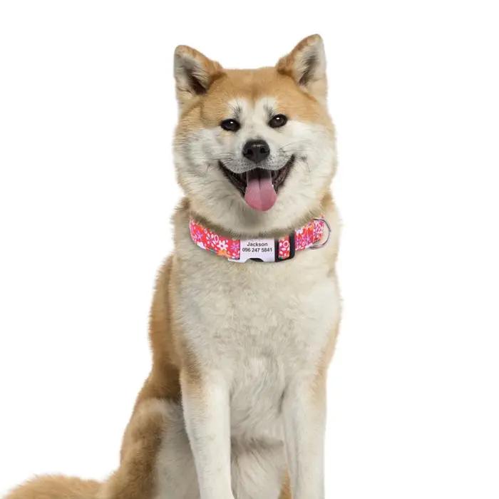 Collier de chien à fleurs en nylon Colliers de chiot