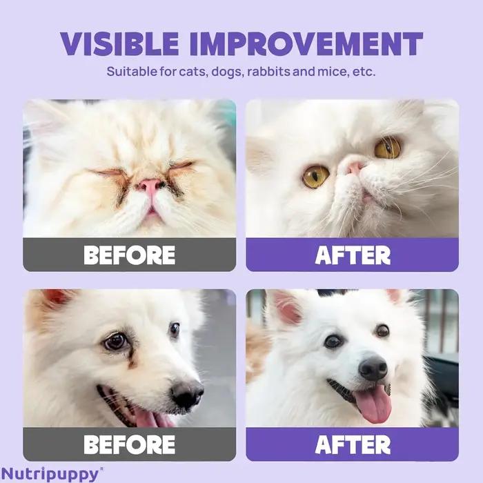 Lingettes humides pour les yeux pour chiens et chats