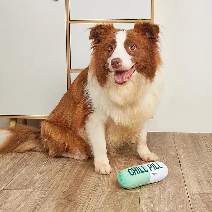 Jouet interactif en forme de pilule en peluche pour chien avec couineur