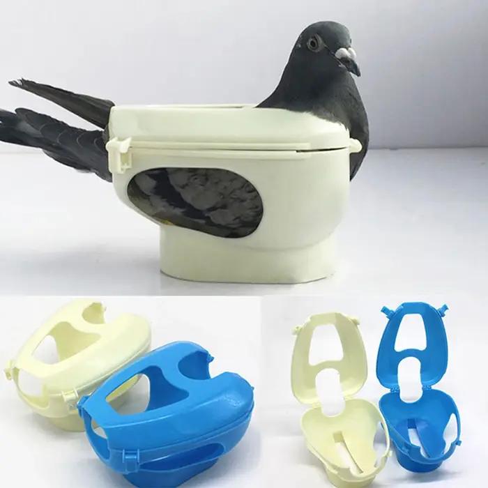 Équipement pour pigeons