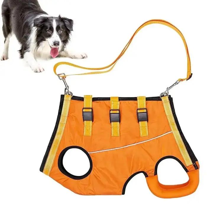 Support de jambes pour chien