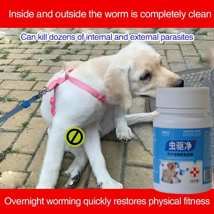 Variété de Parasites pour Animaux de Compagnie, Vermifuges Internes et Externes pour Chiens, Chats,