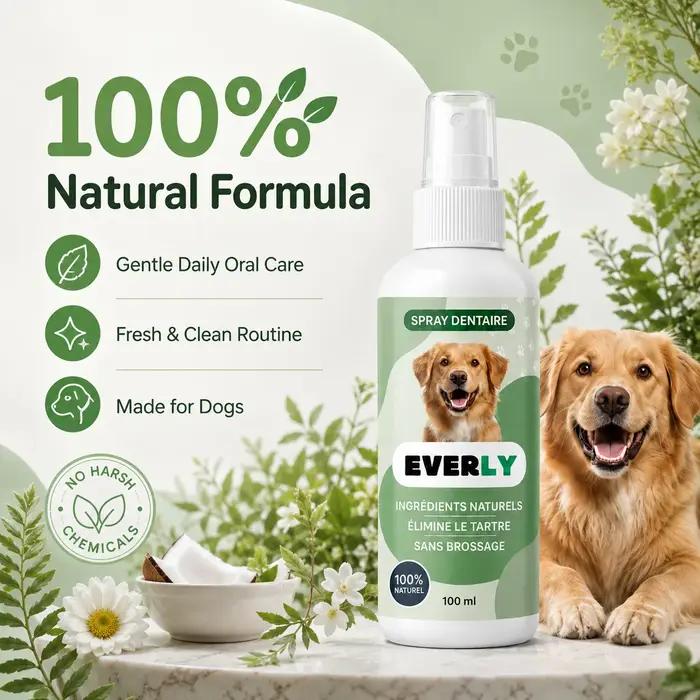 Spray de soin dentaire pour chien 100 ml, spray d'hygiène buccale sans brossage - rafraîchisseur d'haleine naturel, nettoyage dentaire à base de plantes sans alcool