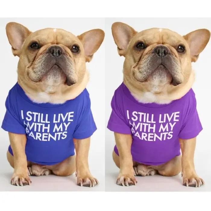 T-shirt en Coton Respirant avec Lettres Imprimées pour Petit et Moyen Chien