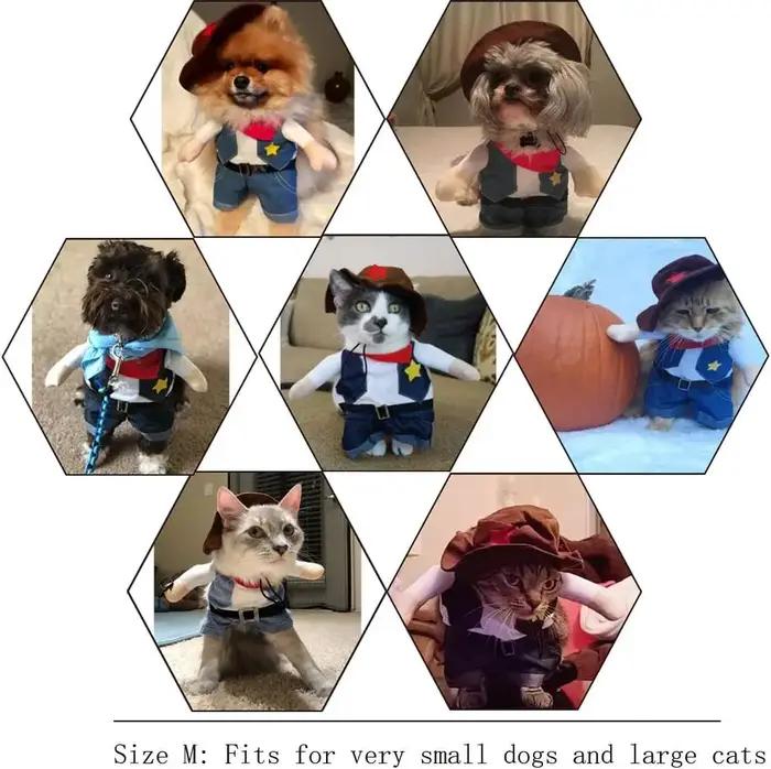 Costume d'halloween drôle pour chien et chat
