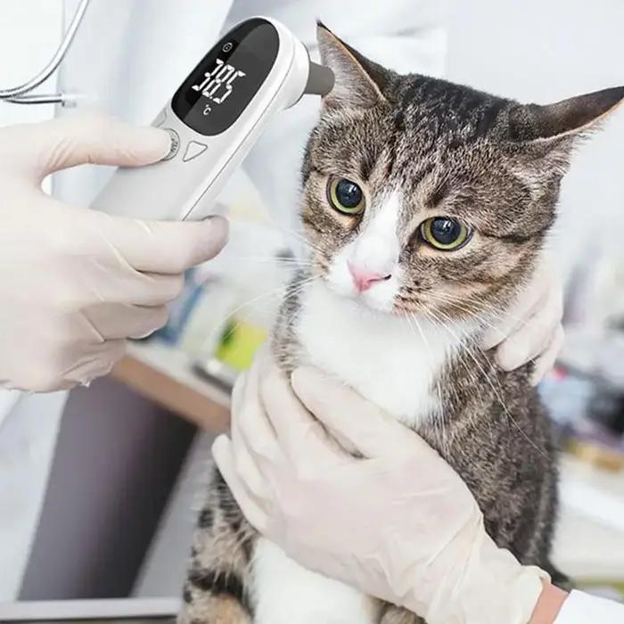 Thermomètres pour animaux de compagnie pour chiens