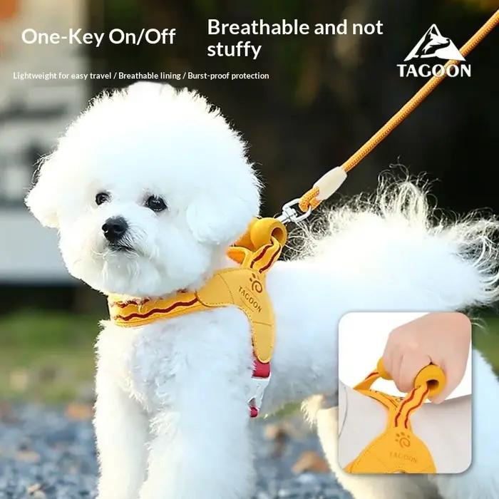 Nouveau harnais pour chiens de petite et moyenne taille