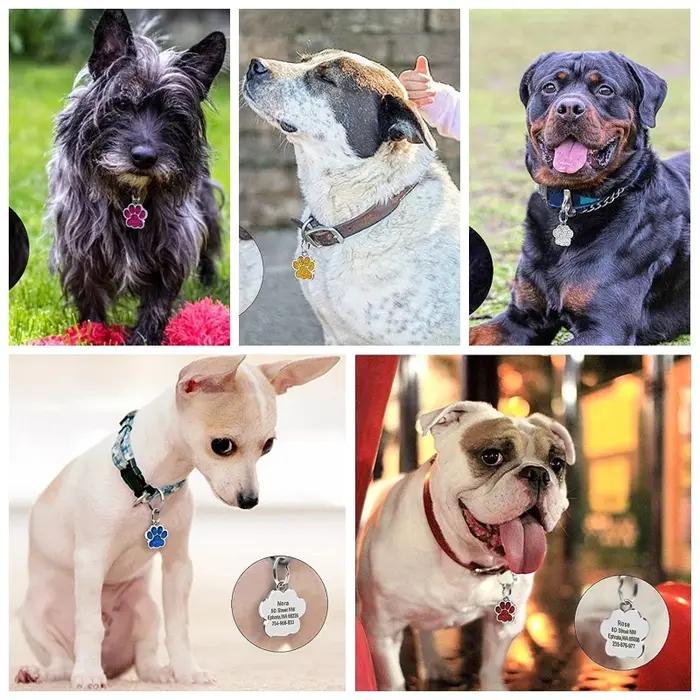 Étiquettes d'adresse personnalisées pour animaux de compagnie