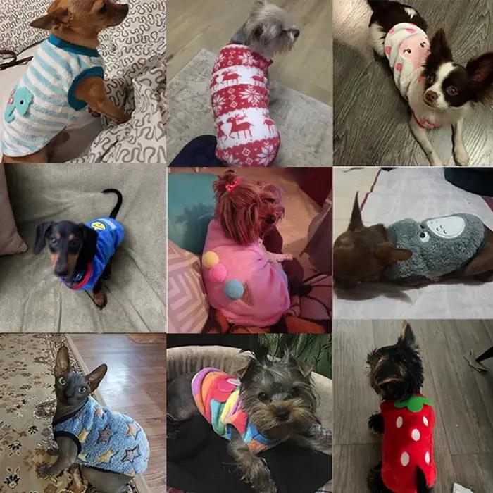 Vêtements d'hiver mignons pour petits chiens et chats