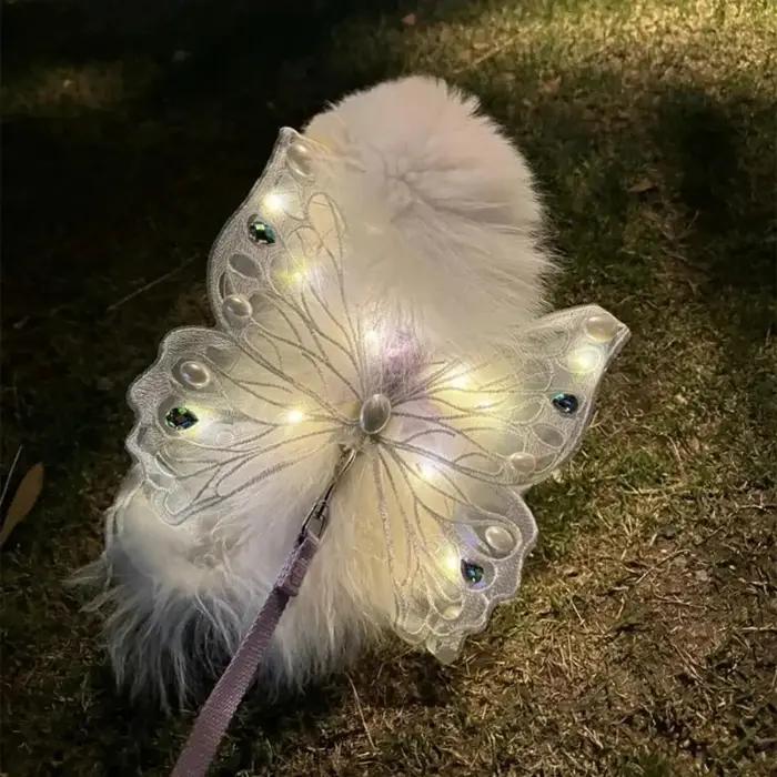 Ailes de chien papillon brillant