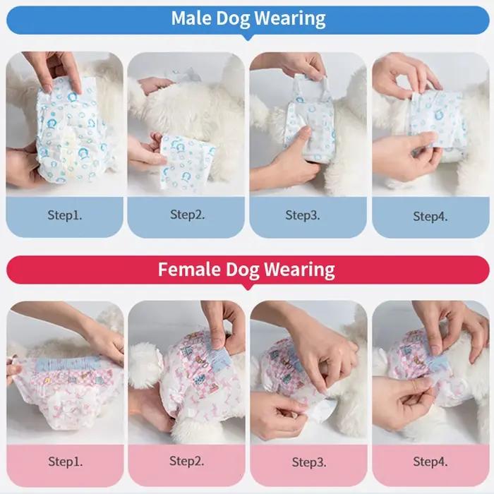 Couches jetables pour chiens et femmes