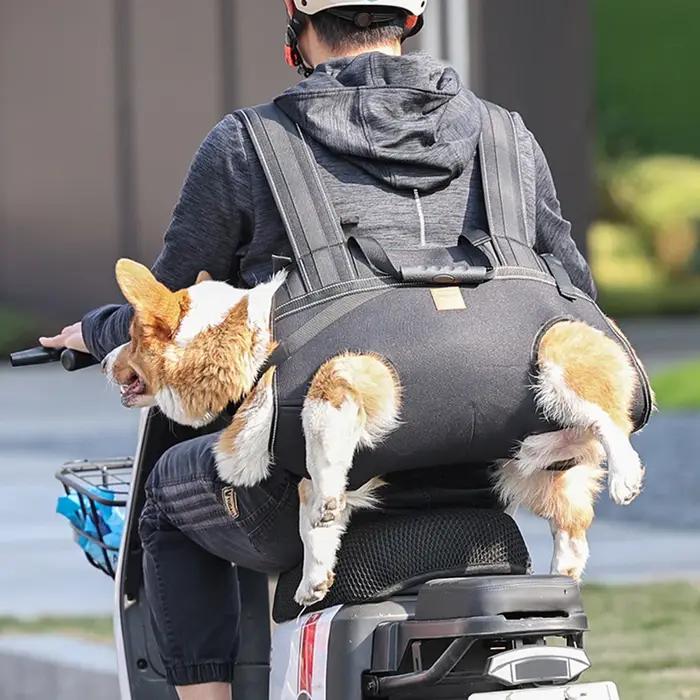 Sac à dos de transport pour grand chien