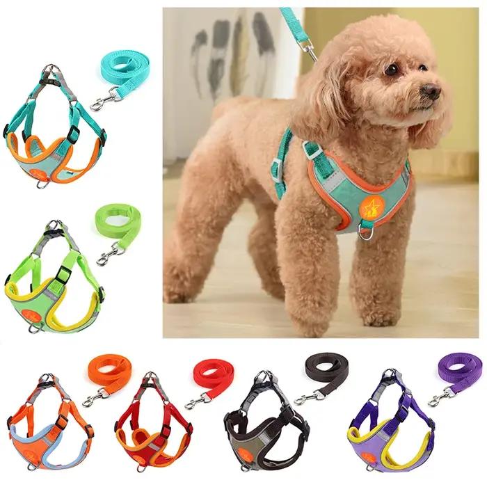 Sangles de coulée de ULde traction en émail SFP pour chiens de petite et moyenne taille