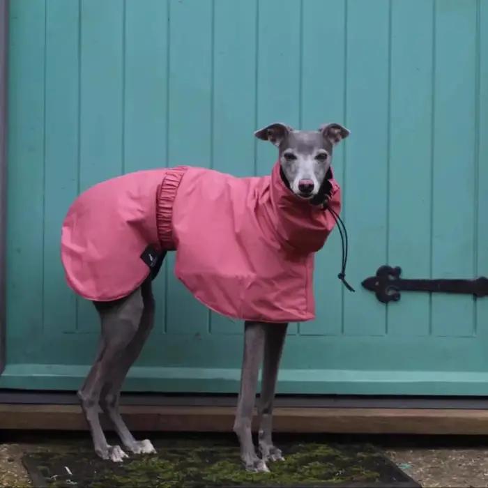 Veste imperméable pour chiens en polyester confortable et respirante pour sorties et promenades en plein air en été et en hiver