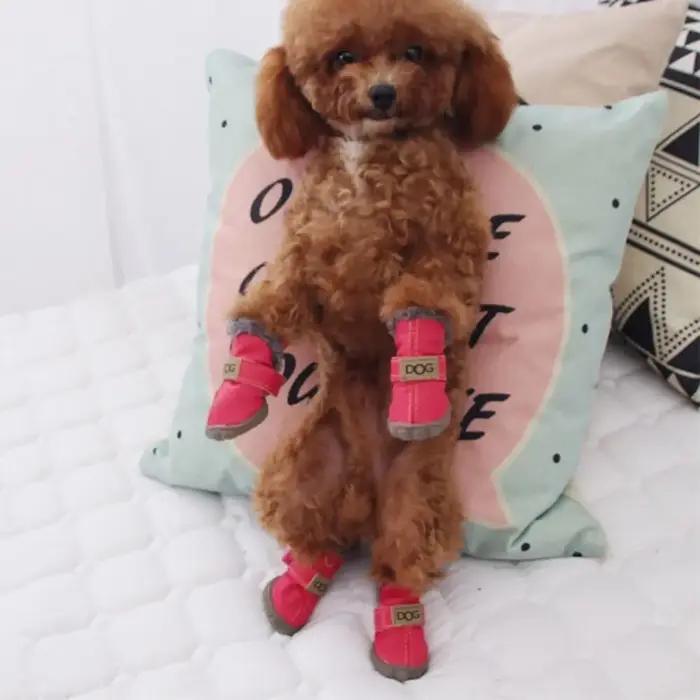 Bottes de neige imperméables pour animaux de compagnie