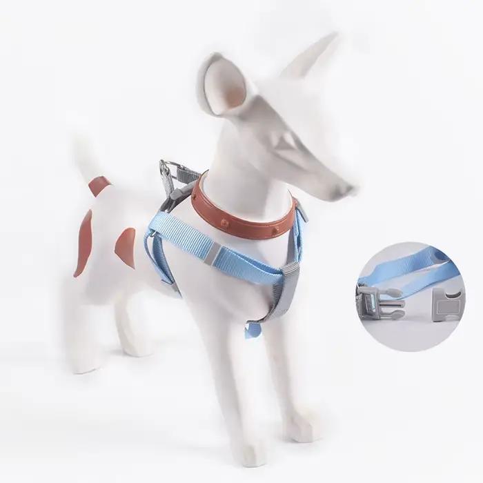 Laisse en nylon personnalisable pour petits chiens et chiots, ensemble pour promenades extérieures, toutes saisons, toutes étapes de vie, à offrir pour anniversaire ou Noël