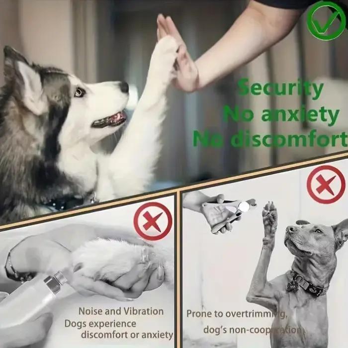 Lime à ongles carrée pour chien