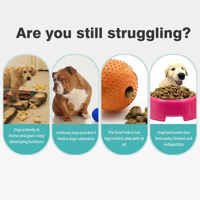 Distributeur interactif de friandises pour chiens