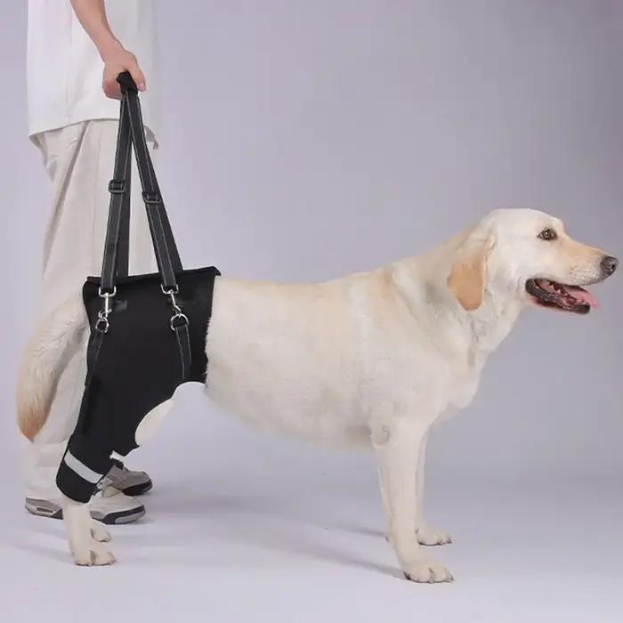 Harnais de levage pour jambes et hanches pour chien