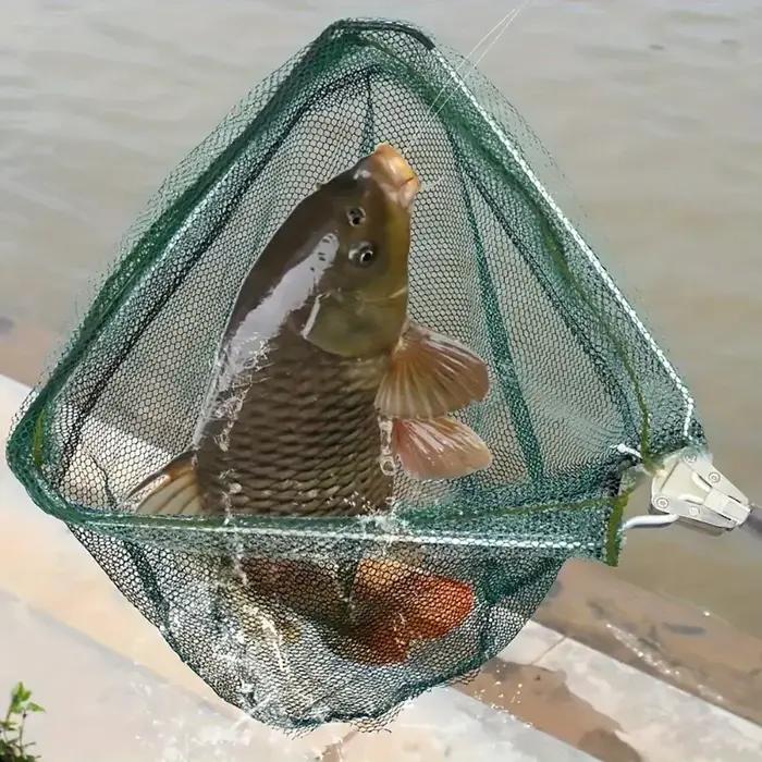 Filet de pêche pliable et rétractable, poignée extensible de 55 à 112cm, filet télescopique pour eau