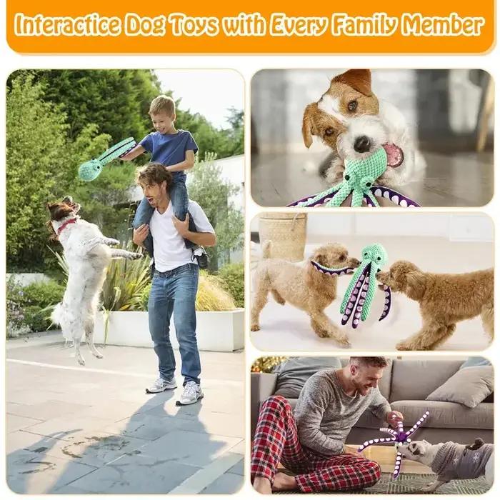 Jouet en peluche pour animaux de compagnie