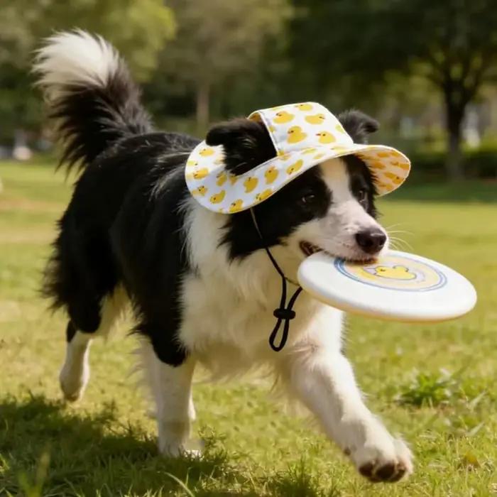 Chapeau pour chien à imprimé mignon pour chiens de petite et moyenne taille
